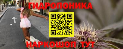 гашиш Жуковский